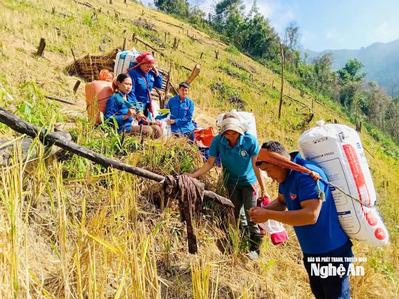 Tuổi trẻ Hữu Kiệm hỗ trợ bà con có hoàn cảnh khó khăn thu hoạch vụ mùa. Ảnh Đoàn xã Hữu Kiệm