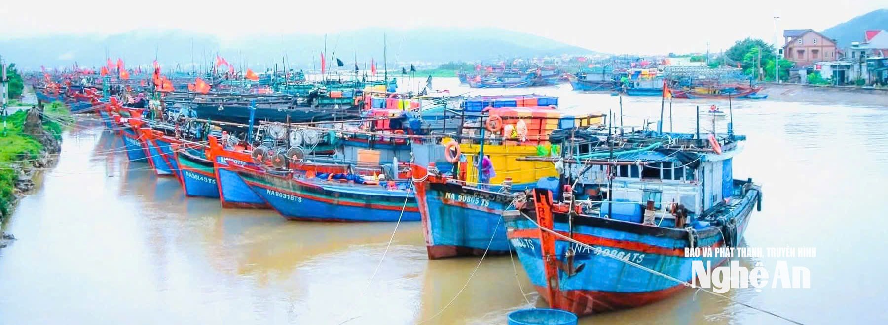 Hệ thống tàu thuyền đánh bắt hải sản phường Tân Mai.