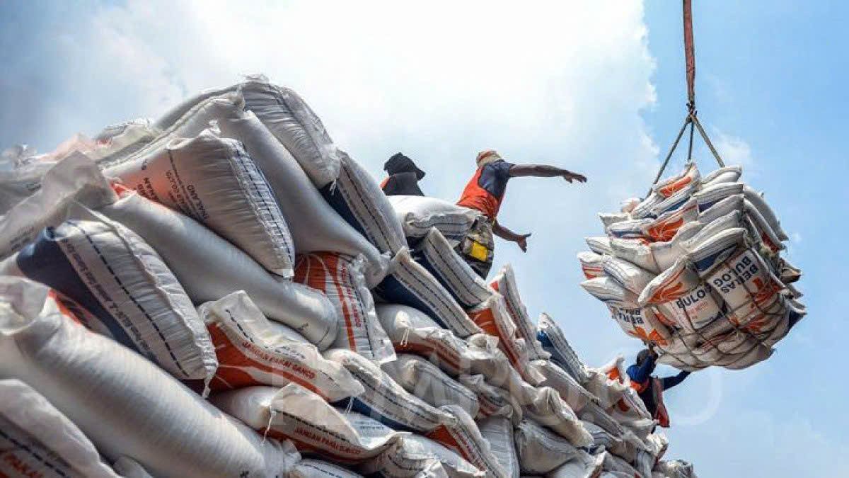Cập nhật giá lúa gạo tại Đồng bằng sông Cửu Long và giá gạo xuất khẩu của Việt Nam.