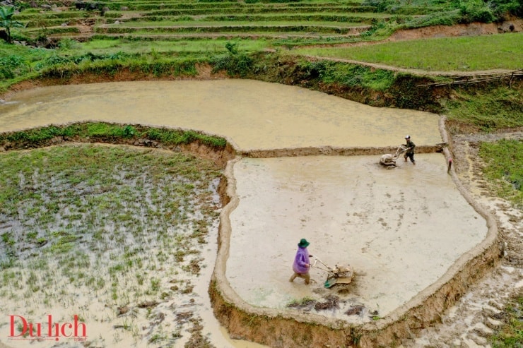 Chi tiết đường cong ruộng bậc thang Sơn Tây Thượng