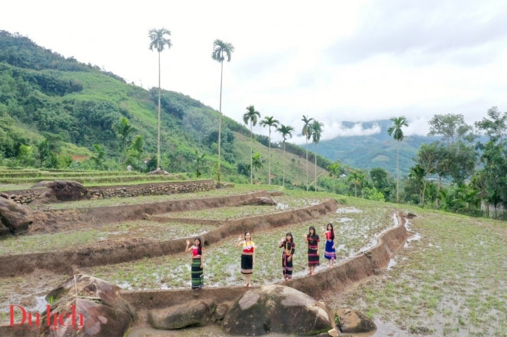 Đường cong mềm mại của ruộng bậc thang Sơn Tây Thượng