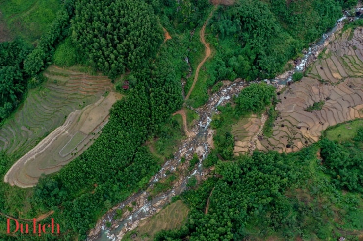 Terrasserte rismarker i Son Tay Thuong i regntiden.