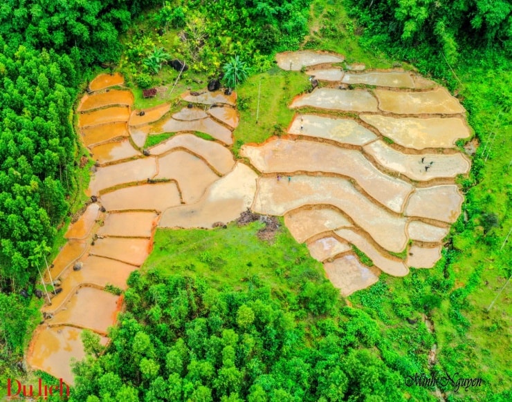 Những thửa ruộng bậc thang uốn lượn ở Sơn Tây Thượng