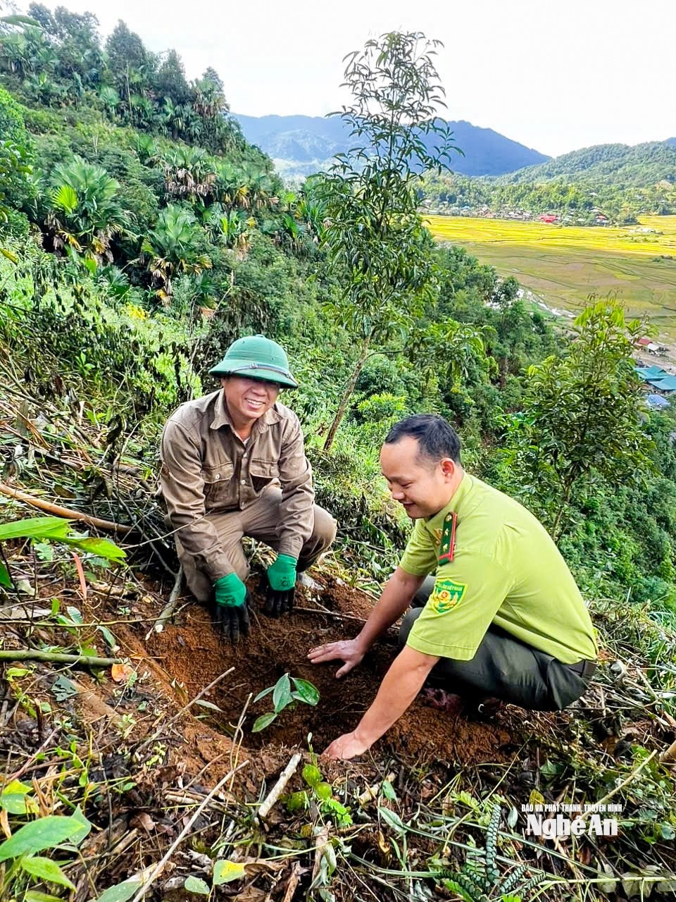 Cán bộ Trạm Bảo vệ rừng Tri Lễ giúp người dân trồng cây quế Quỳ phát triển sinh kế. Ảnh NVCC