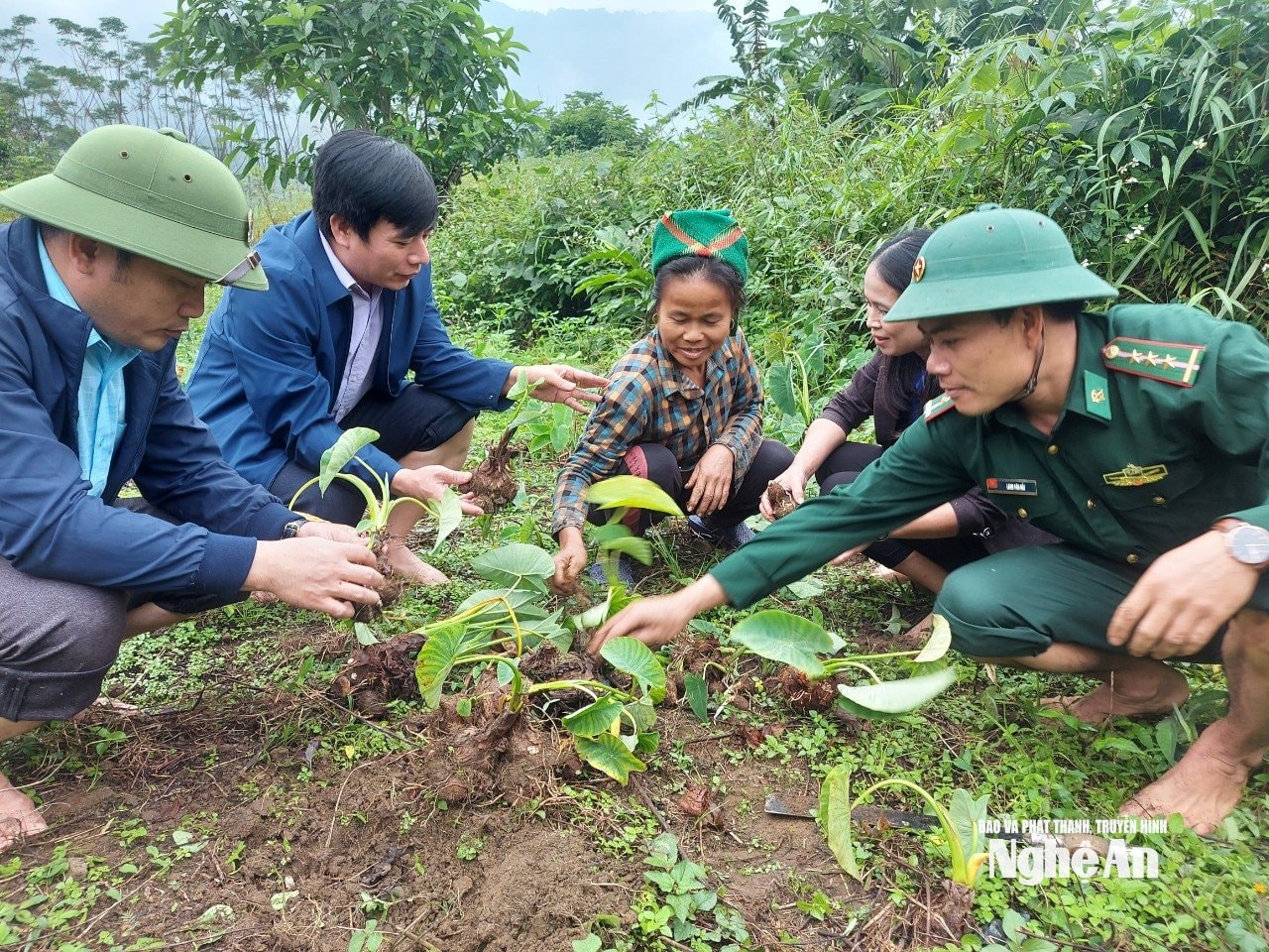 Ông Nguyễn Văn Sinh hướng dẫn người dân cách dẫn người dân cách trồng khoai sọ. Ảnh Nhật Lân