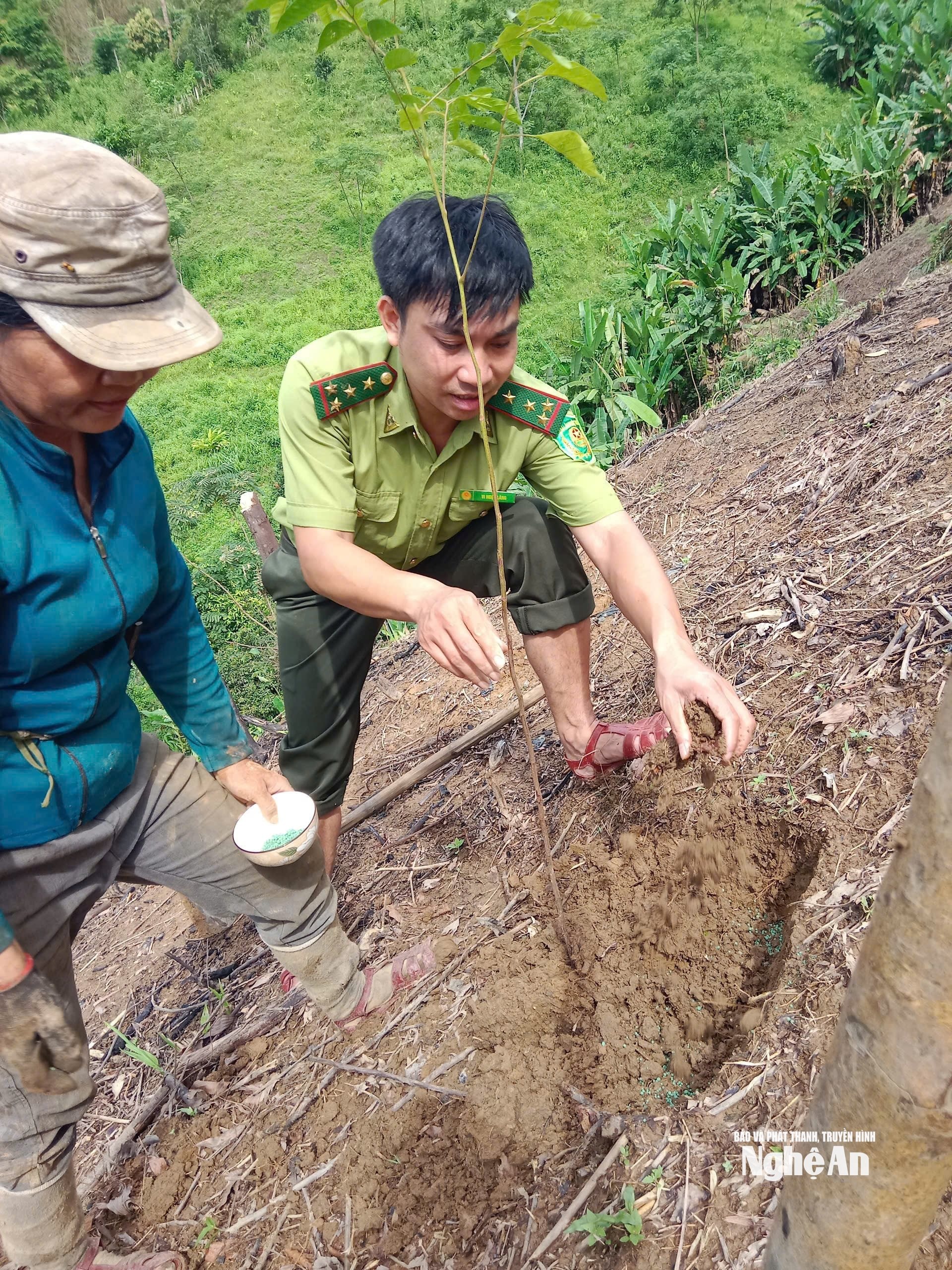 Trạm trưởng Trạm Bảo vệ rừng Đồng Văn 2 Vi Ngọc Lăng trực tiếp hướng dẫn người dân trồng cây quế Quỳ. Ảnh NVCC
