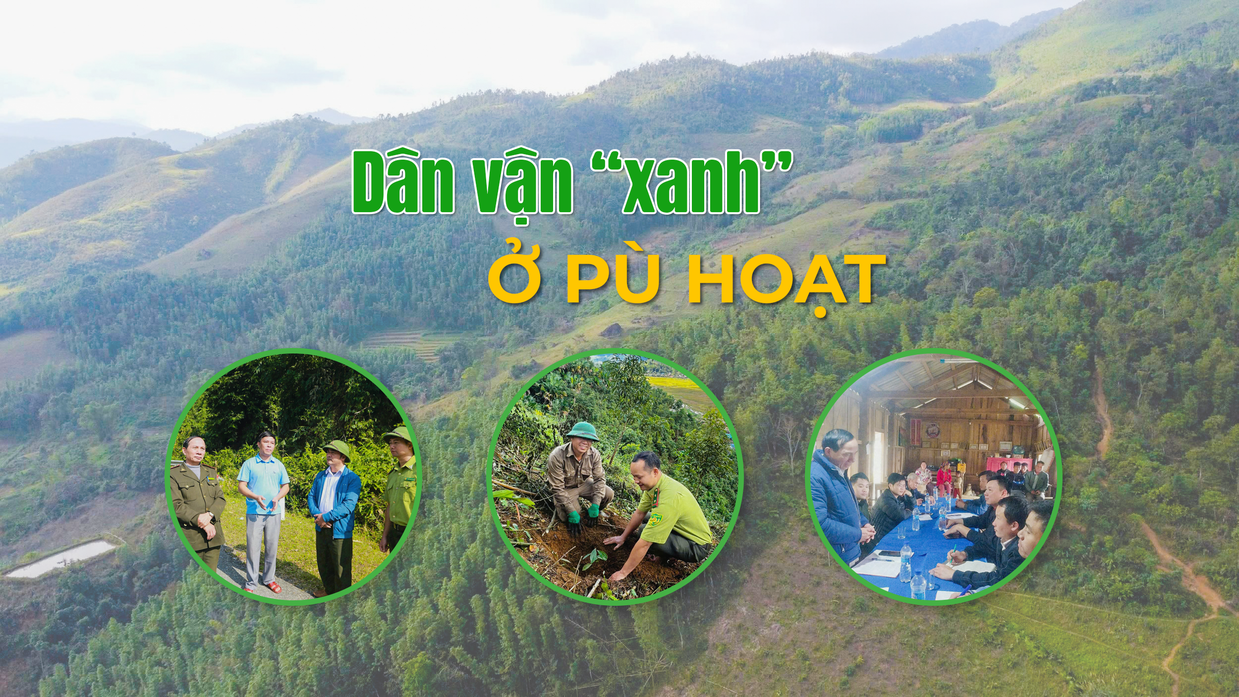 danvanxanh-cover(1).png