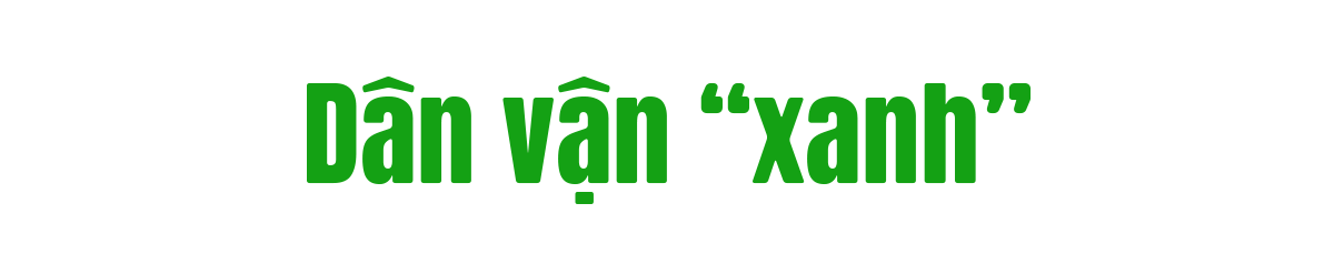 danvanxanh-tit2.png