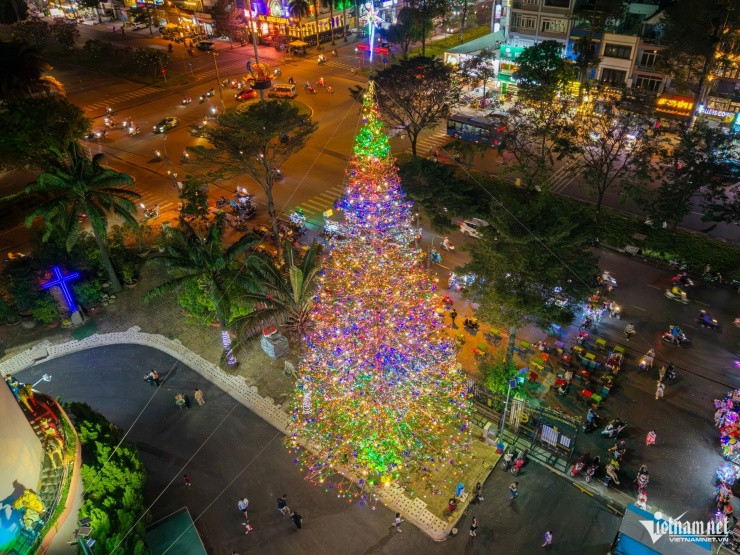 Cây thông Noel cao khoảng 25 m tại nhà thờ Thánh Phaolô