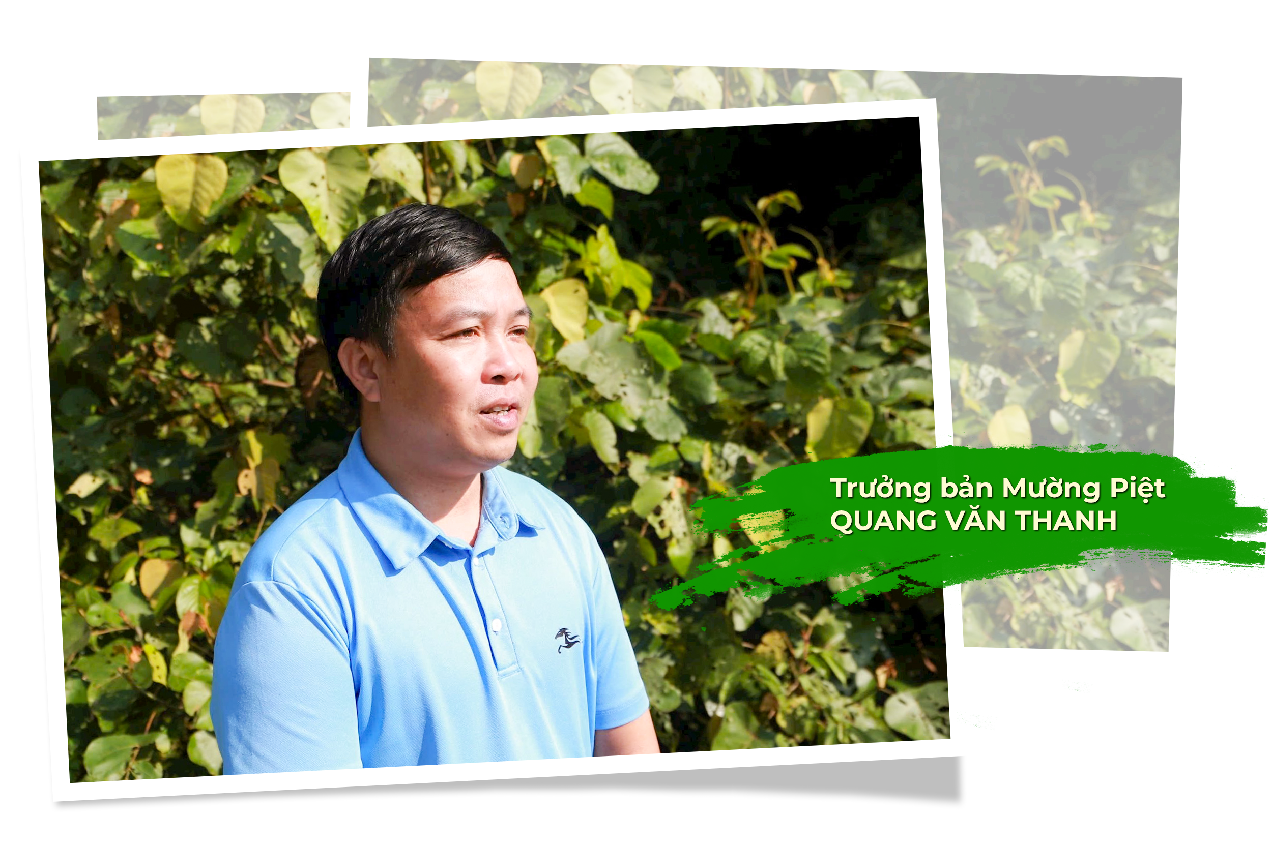 quangvanthanh(1).png
