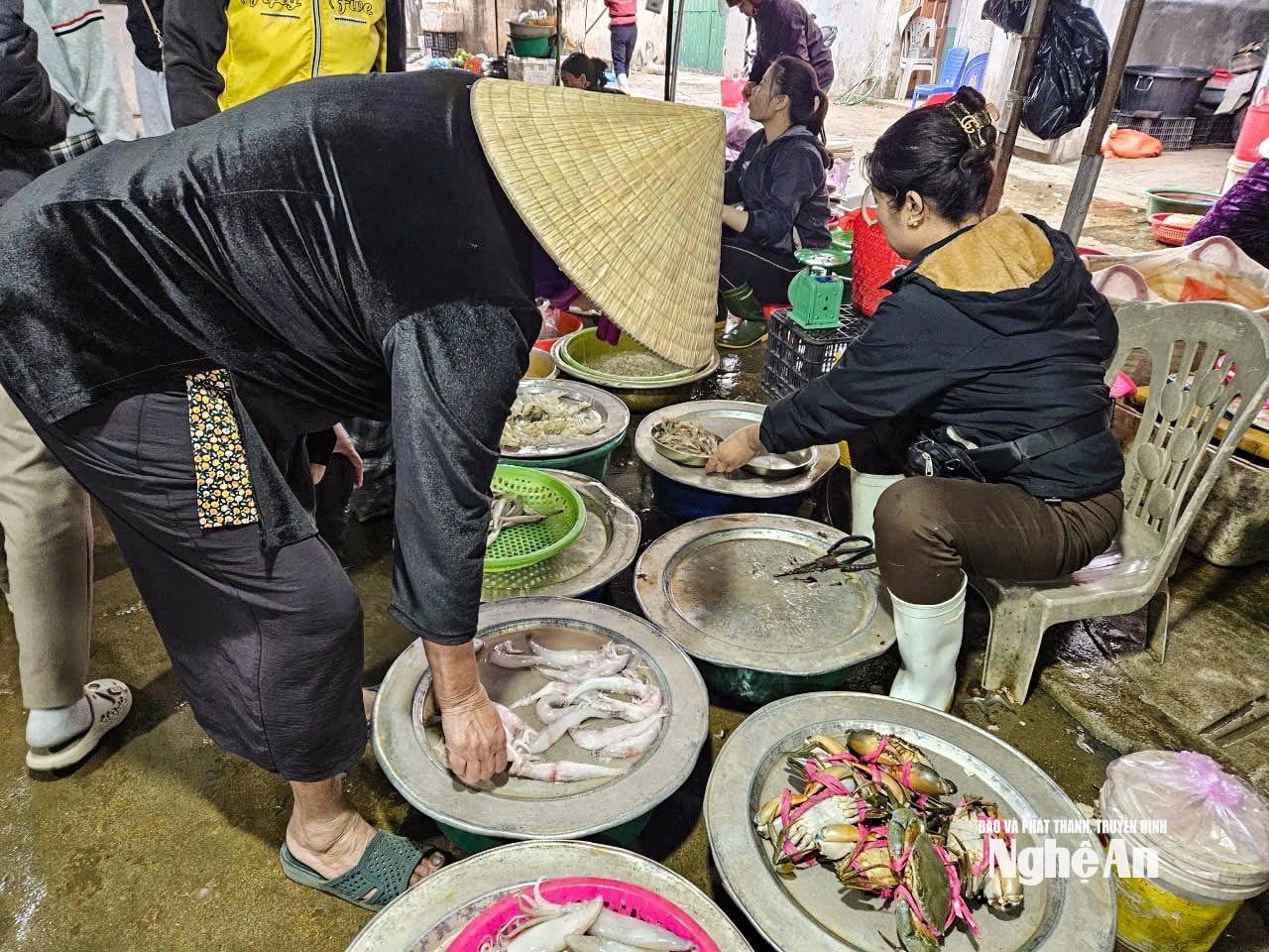 cá cháo7365984740225_886e748388ec7ae97bf55306c39fb008