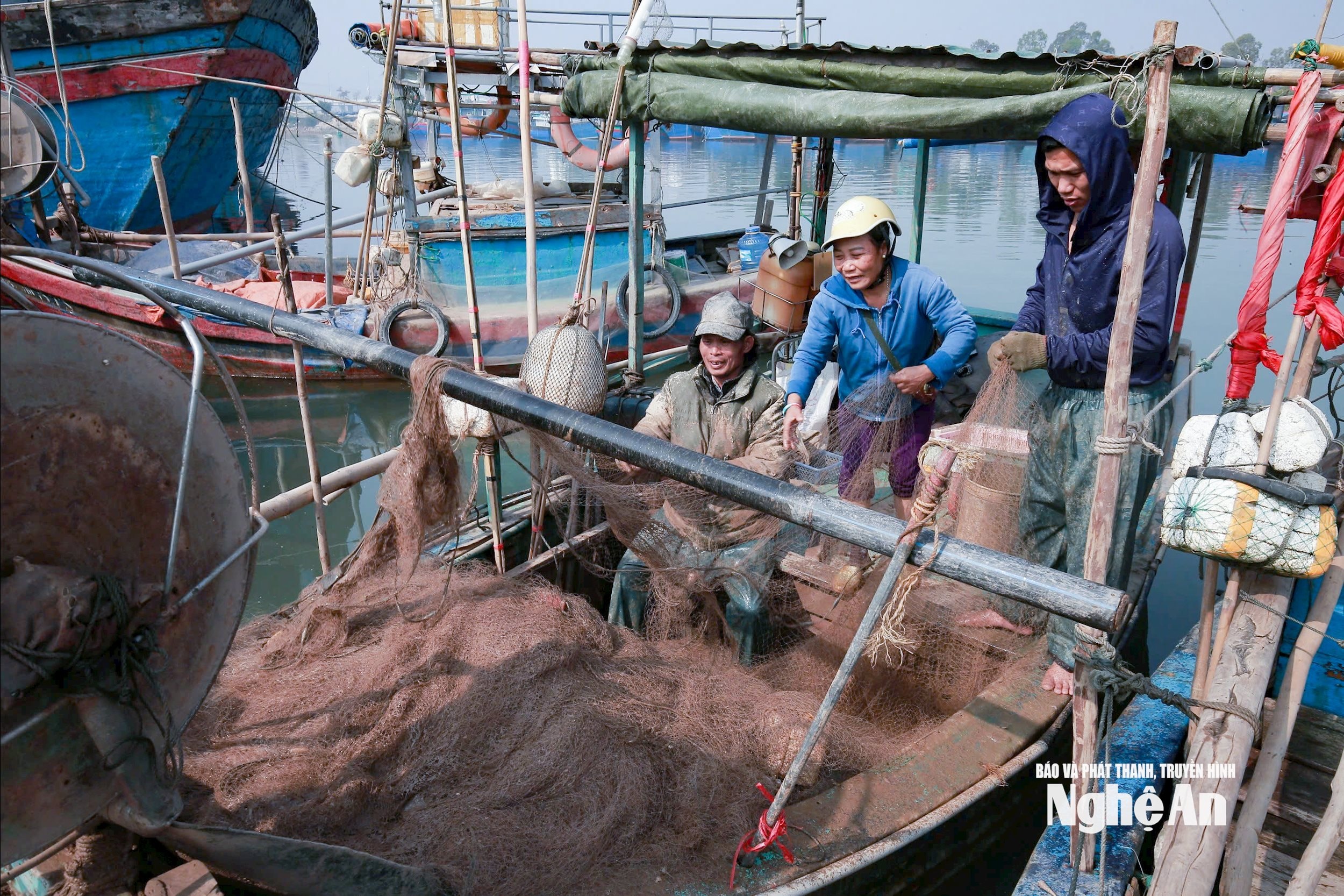 cá cháo9202783437_a4d6bdb8915e40296e13991b20252a78