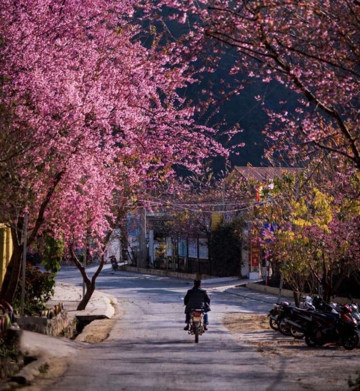 Con đường ở thị trấn Đồng Văn (cũ), xã Má Lé.