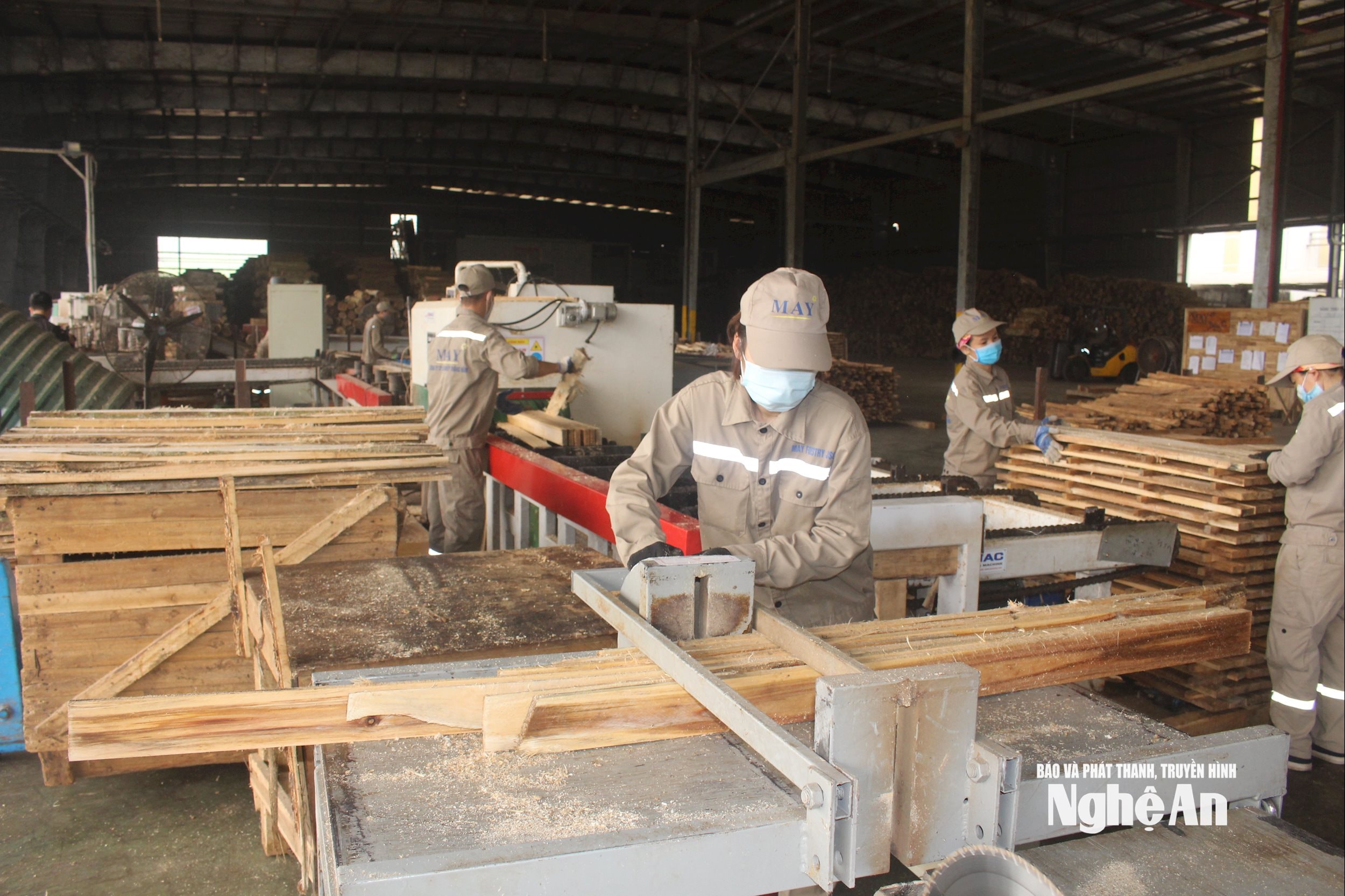 Chế biến sản phẩm từ gỗ tại Nhà máy chế biến gỗ thuộc Công ty cổ phầng lâm nghiệp Tháng Năm