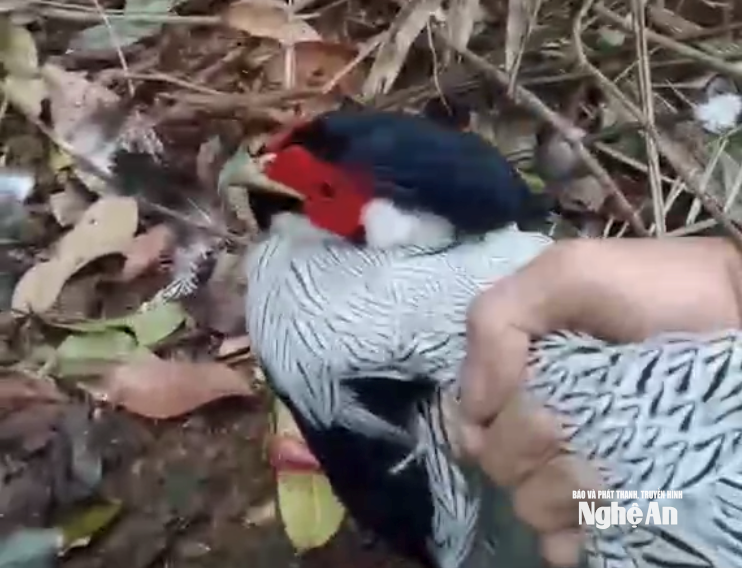 Ảnh màn hình 2025-12-29 lúc 09.18.38