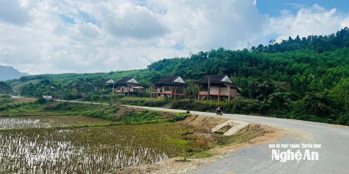 Đường vào khu tái định cư của đồng bào Đan Lai ở bản Bá Hạ, xã Thạch Ngàn. Ảnh KL