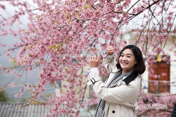 Chị Ngọc Lương (Hà Nội) chia sẻ cảm giác dịu dàng khi ngắm hoa giữa vùng sương núi.