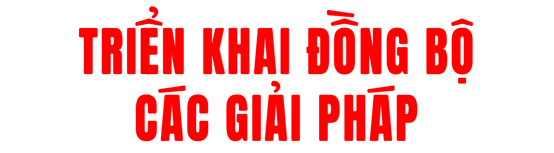 titphu2(2).png