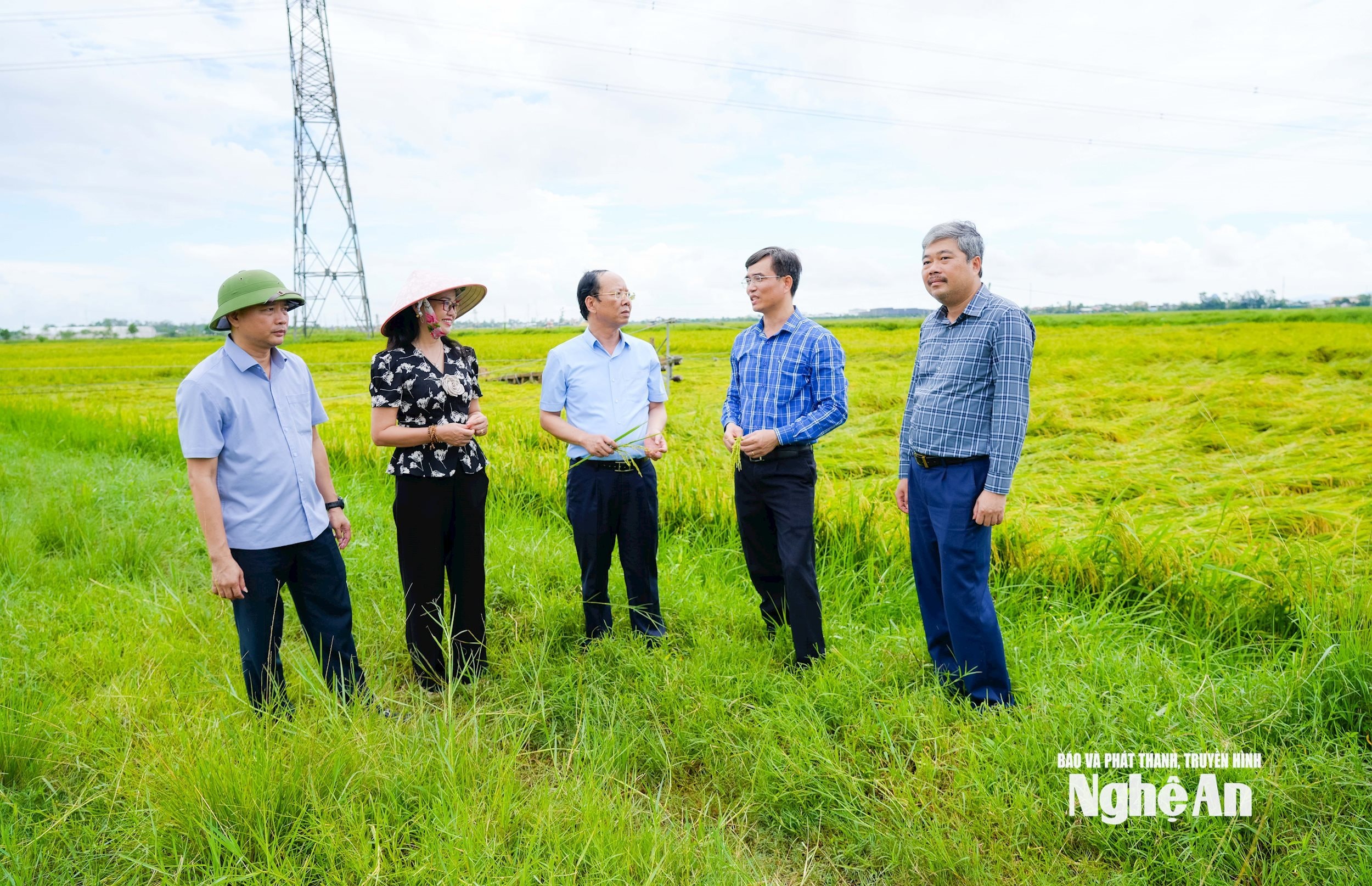 Lãnh đạo tỉnh và xã Yên Thành kiểm tra sản xuất lúa tại địa phương. Ảnh Thanh Lê