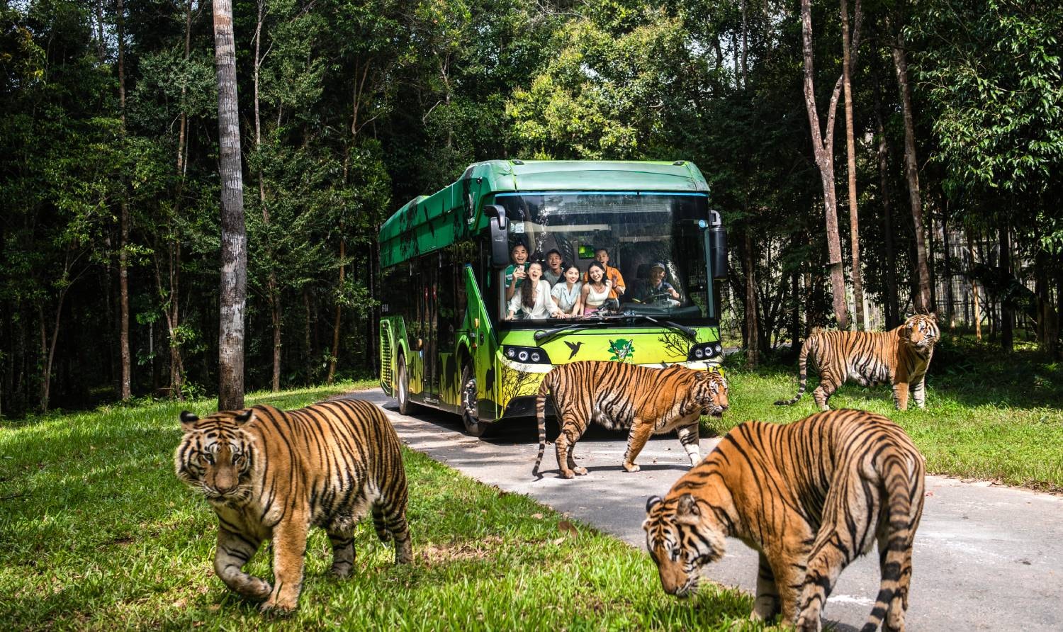 Du khách tham quan Vinpearl Safari Phú Quốc