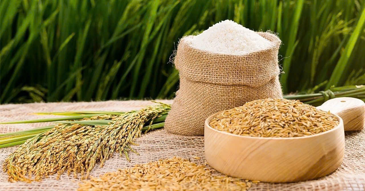 Giá lúa gạo hôm nay 30/12 Thị trường trầm lắng giá ổn định
