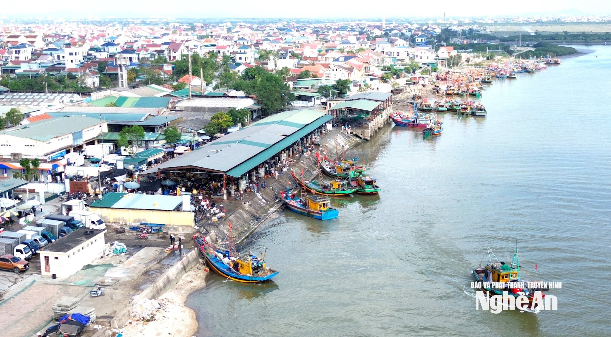 ngu dan 4 (2)