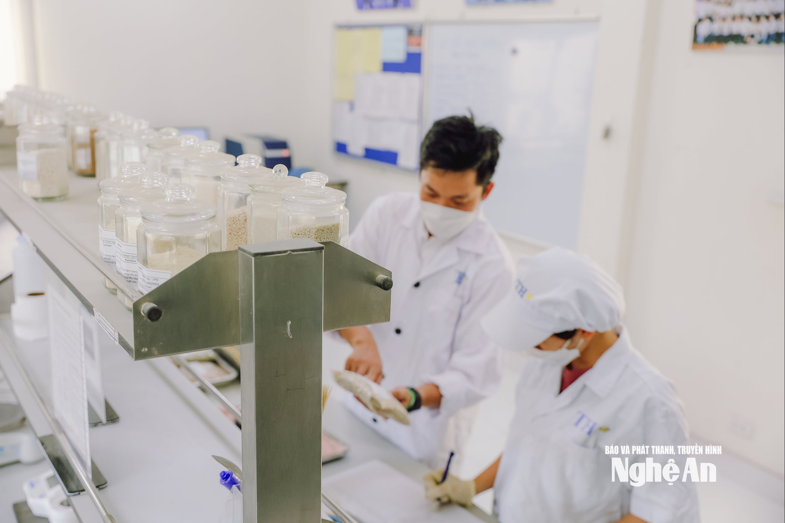 phòng lab nhà máy cám