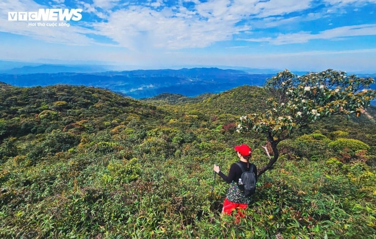 Người leo núi cần phải vượt qua đỉnh Pa Thiên cao khoảng 1.625m trước khi chạm đến đích Voi Mẹp