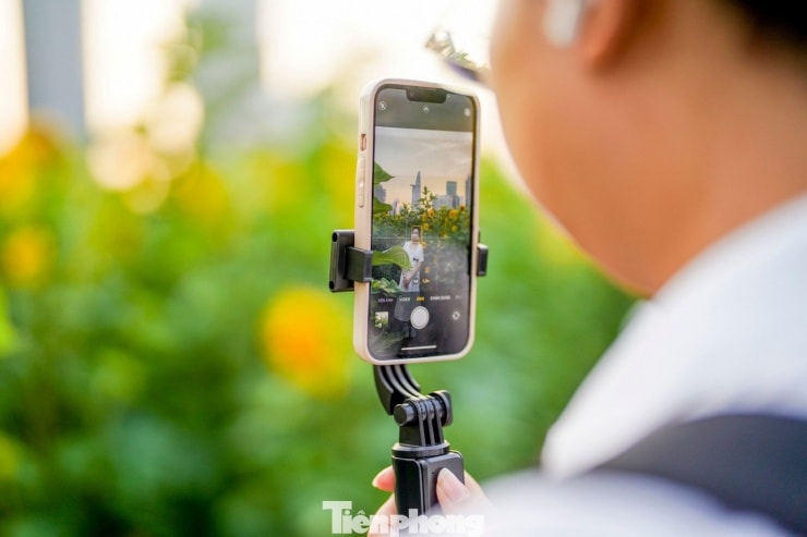 Người dân giơ điện thoại ghi lại khoảnh khắc giữa sắc vàng rực rỡ.