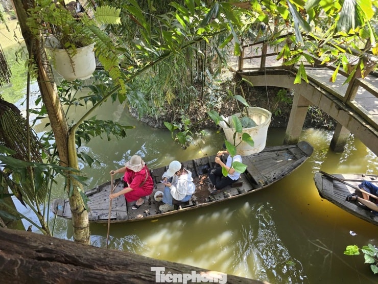 Bơi xuồng giữa không gian xanh mướt.