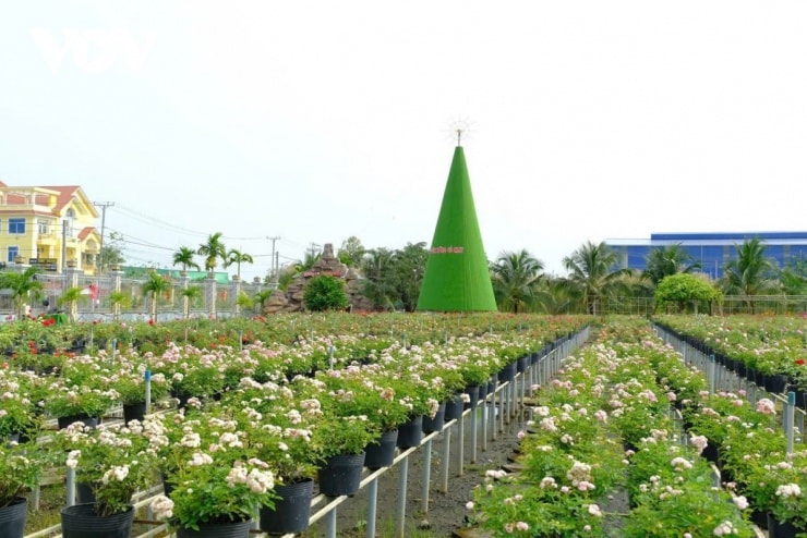 Giới trẻ và các gia đình hào hứng check-in trong kỳ nghỉ Tết Dương lịch 2026