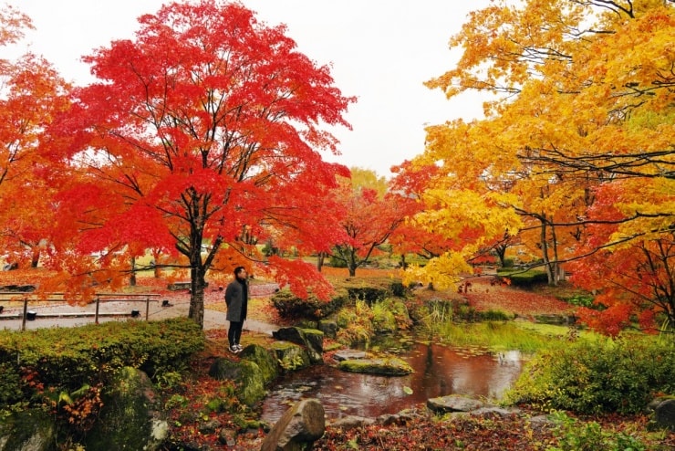 Kasumigajo Castle Park trong sắc thu