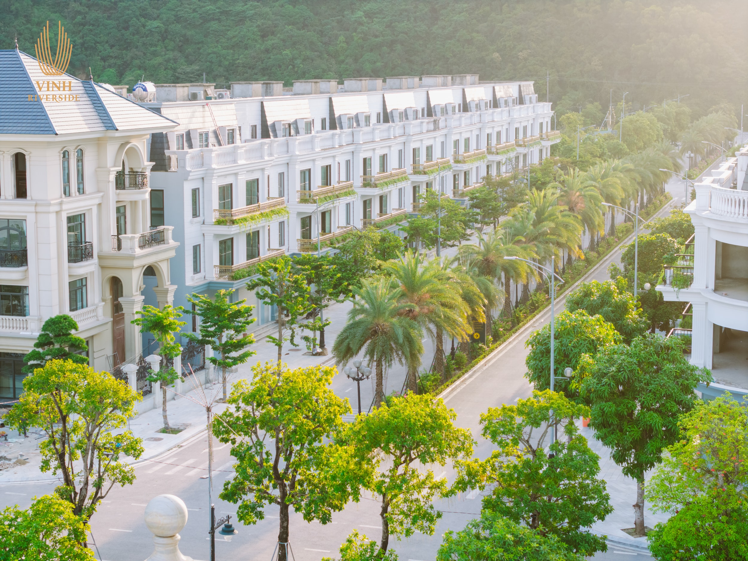 Bản sao của DJI_20250709175619_0078_D (1) (1)