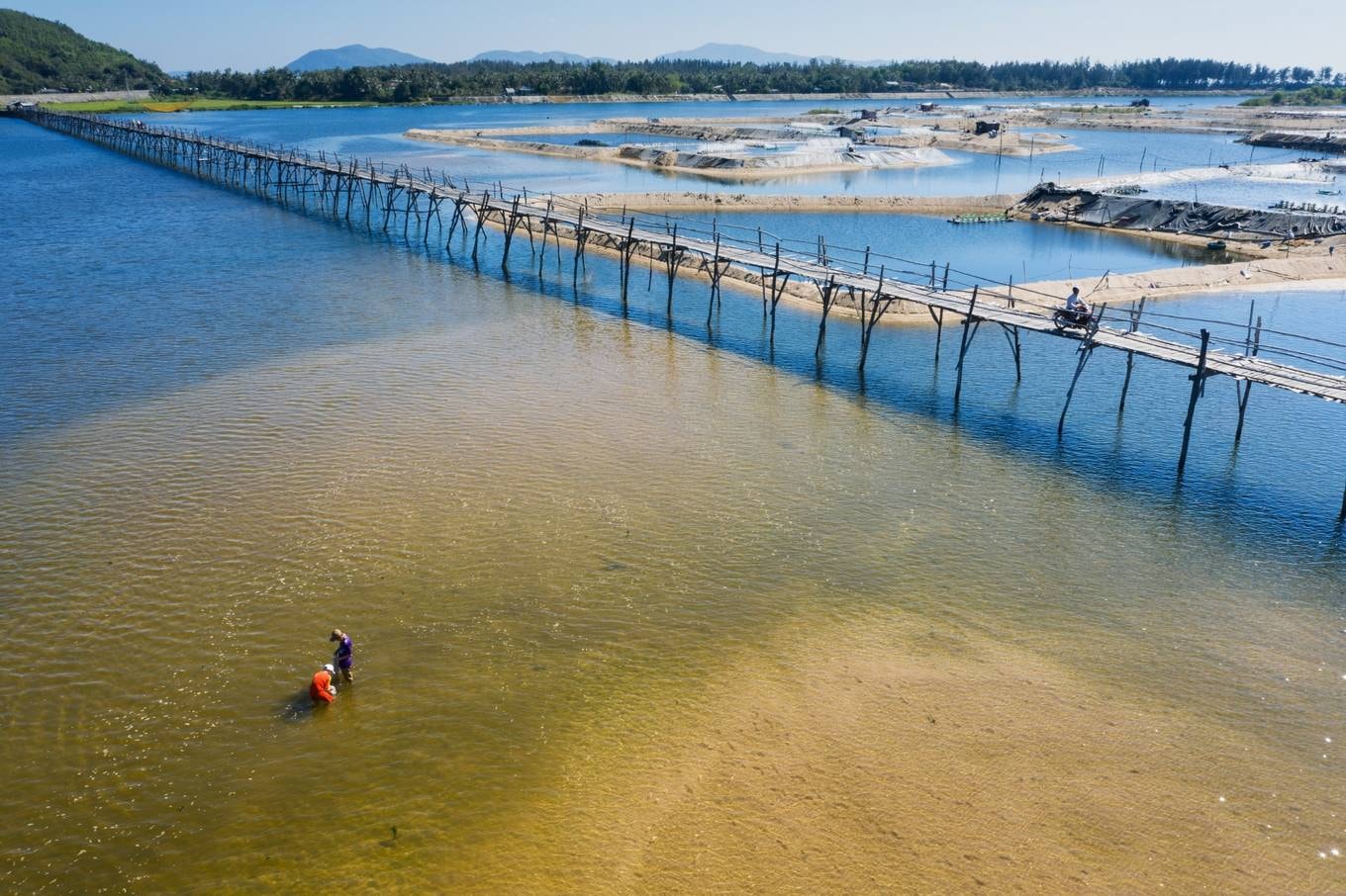 Cầu gỗ Ông Cọp Phú Yên
