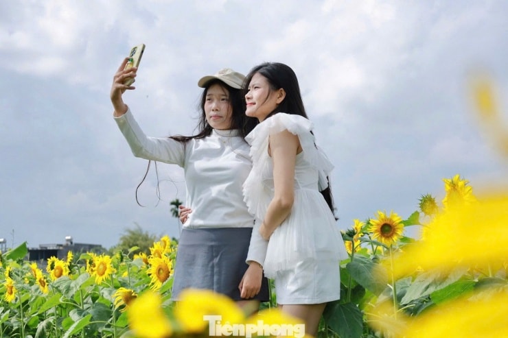 Bạn Cao Thị Dương Nhiên cùng bạn bè check-in tại vườn hoa từ sáng sớm.