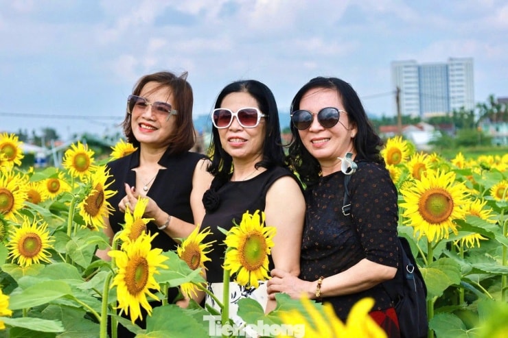 Bà Nguyễn Thị Bảy cùng người thân đến dạo chơi tại vườn hoa.