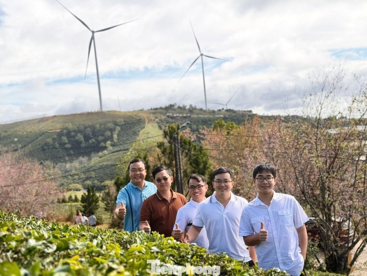 Các bạn trẻ chụp ảnh tại đồi chè Cầu Đất