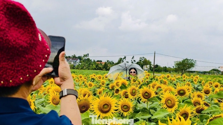 Chị Bùi Thị Mỹ Trinh - chủ vườn hoa chia sẻ về quá trình cải tạo khu đất hoang.