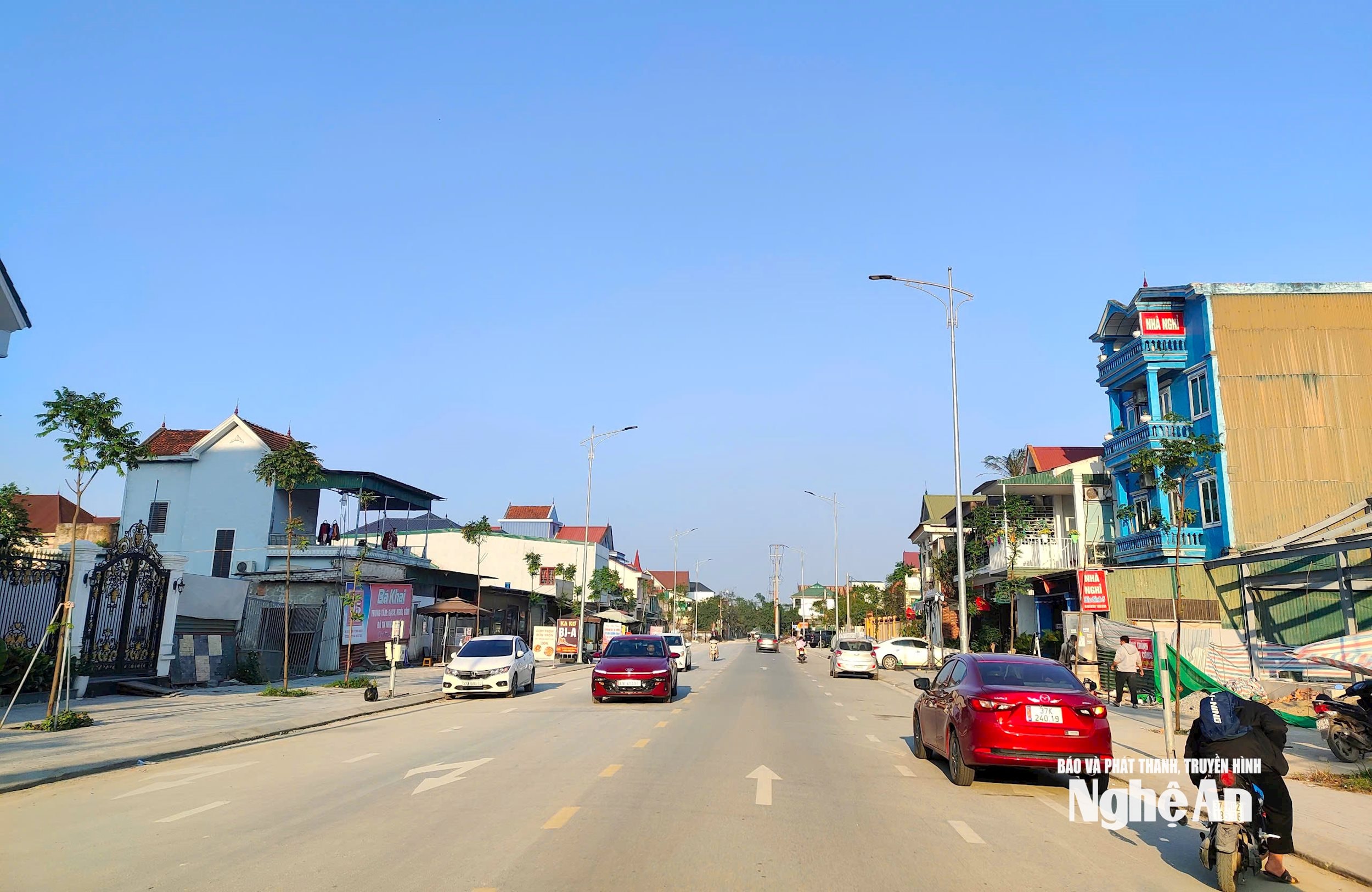 bụi tre