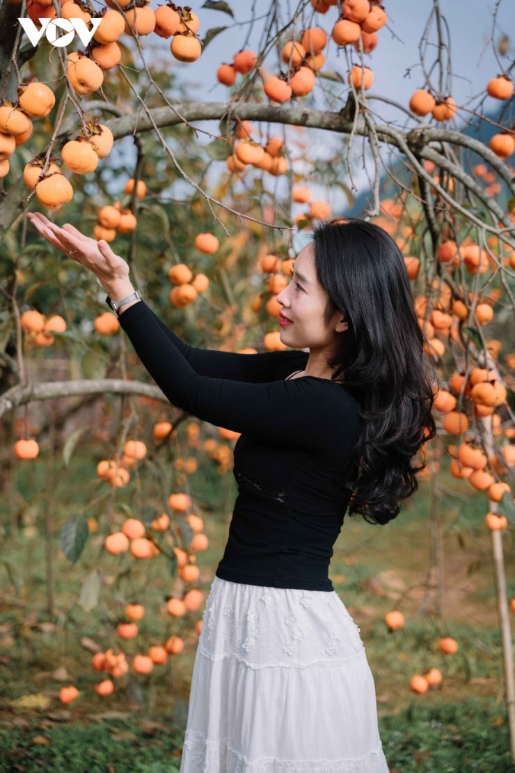 Du khách có thể chạm, hái để thưởng thức và cảm nhận nhịp sống xanh bền vững giữa thiên nhiên.