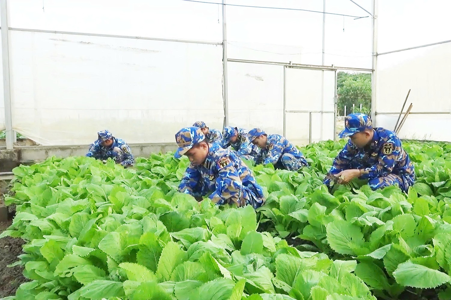 Tăng gia sản xuất tại đơn vị.