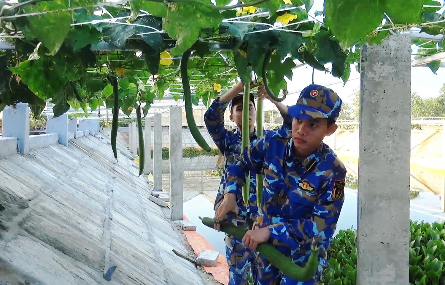 Chiến sĩ tăng gia sản xuất.