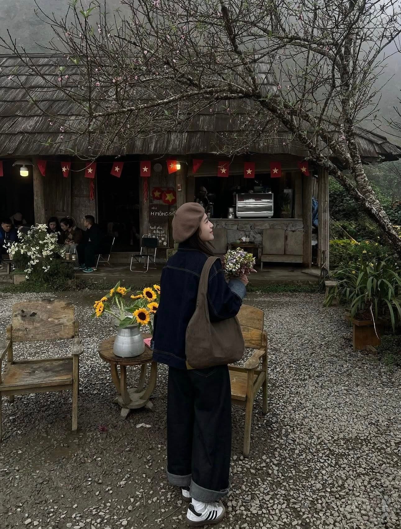 Hoa đào nở rực rỡ tại Tà Xùa bên cạnh nhà mái lá