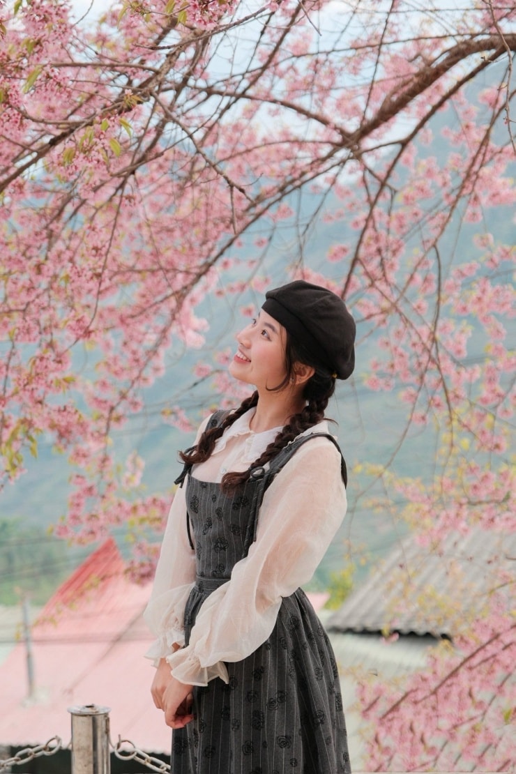 Sắc hoa đào trên vùng cao đá xám Hà Giang