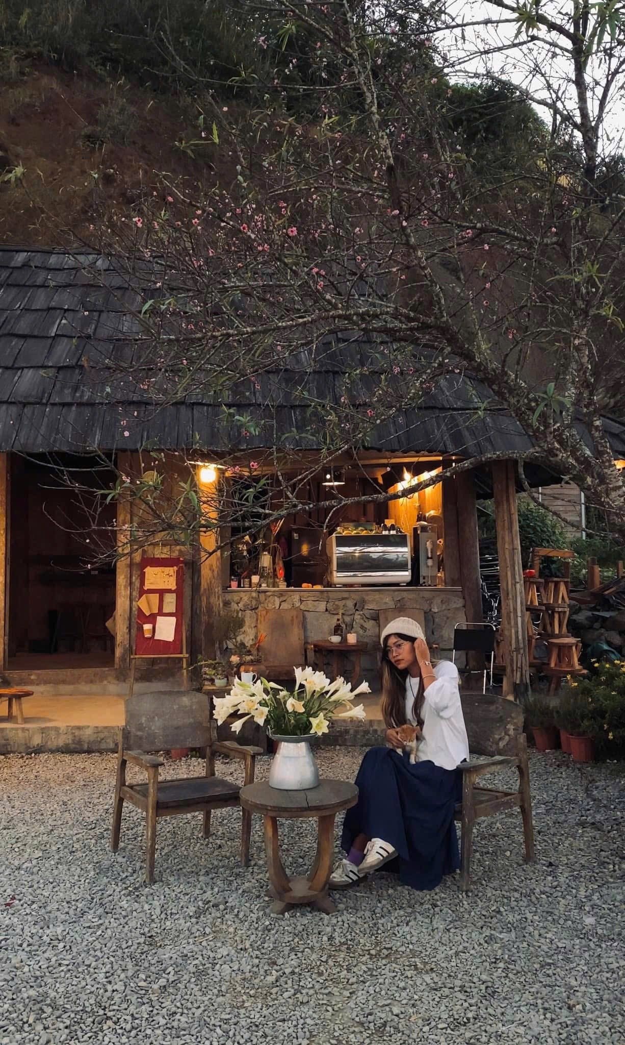 Du khách check-in cùng hoa đào tại Tà Xùa