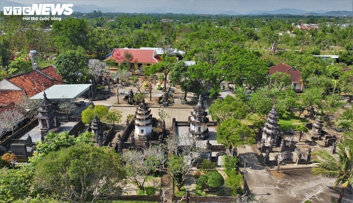 Vườn tháp tổ với hơn 20 ngôi tháp cổ phía Bắc chùa Thập Tháp.