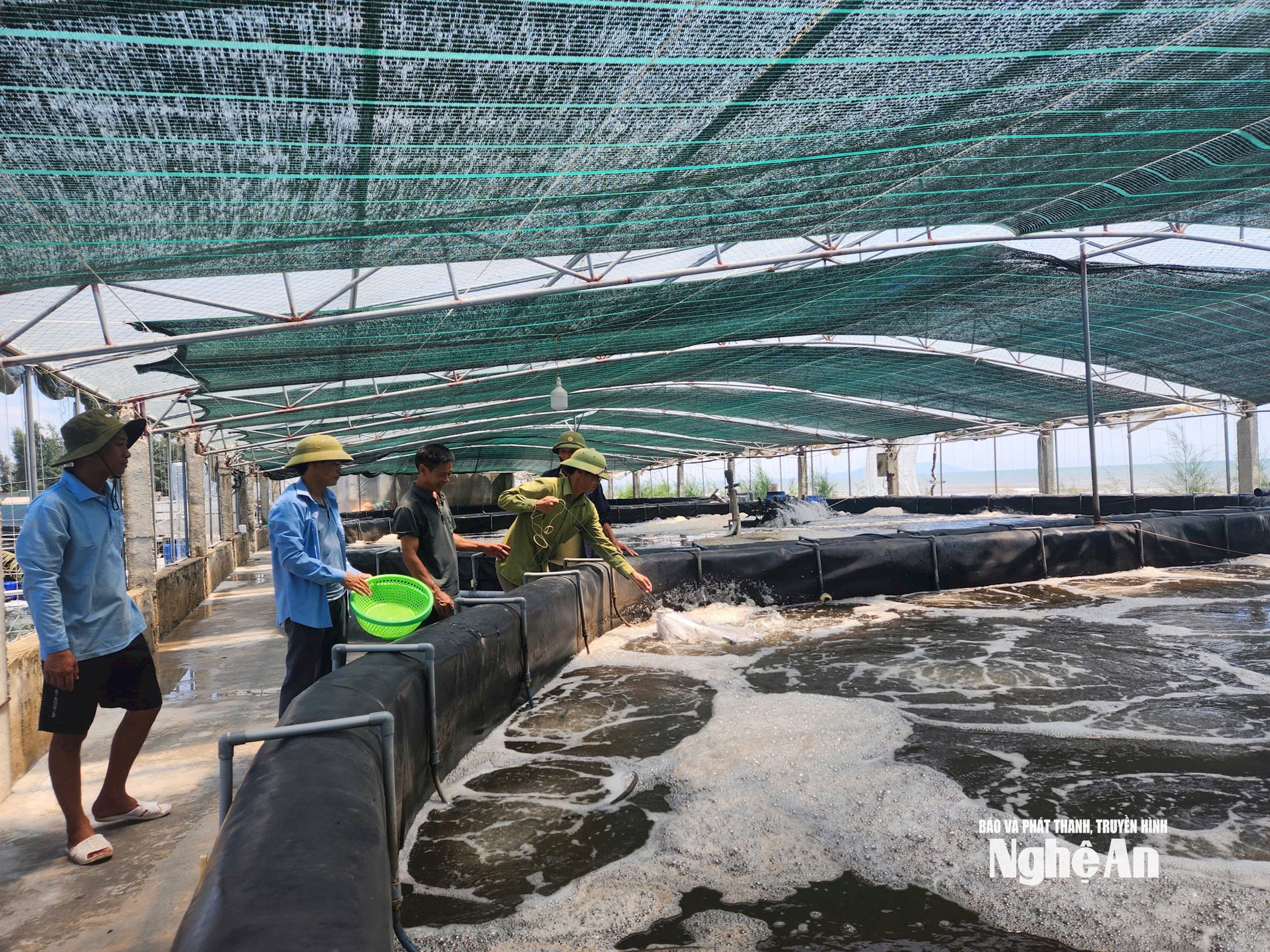 Hồ nổi để nuôi tôm công nghệ cao tại xã Hải Châu.