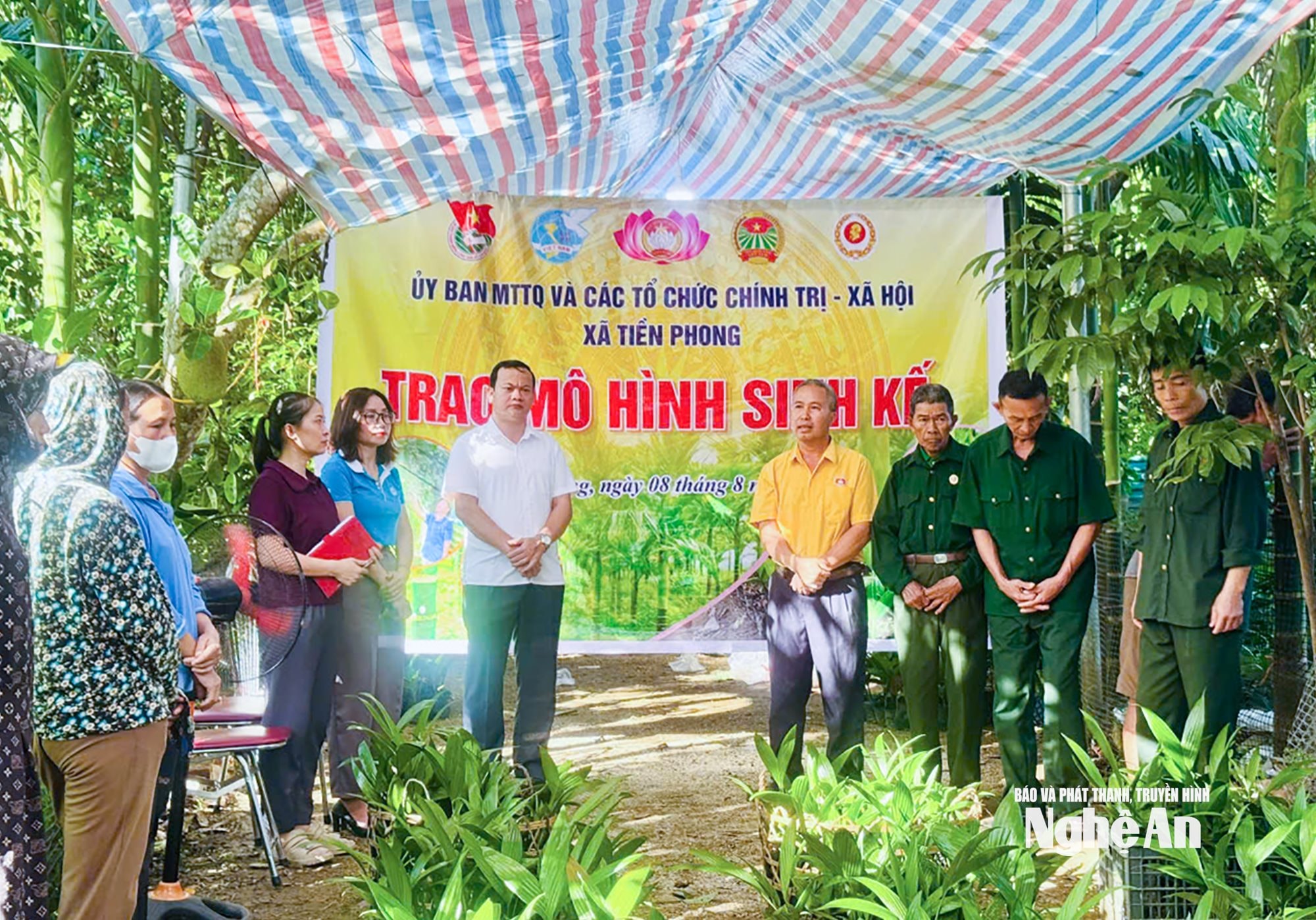  Cán bộ xã Tiền Phong trao hỗ trợ cây cau xây dựng mô sinh sinh kế 