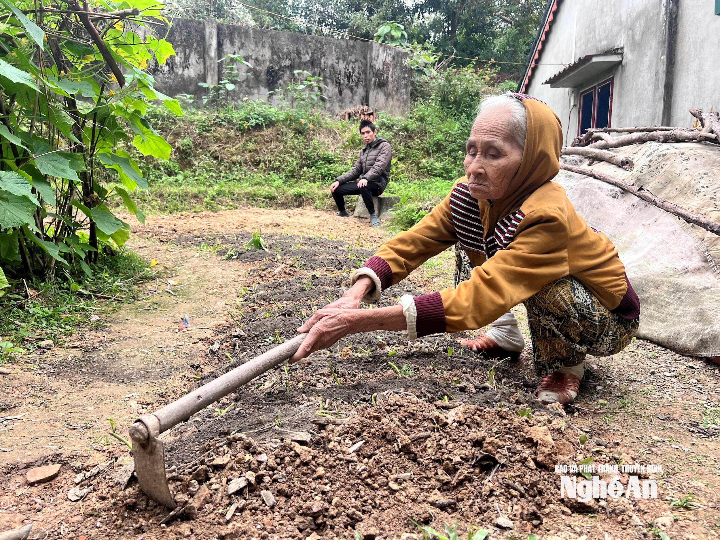 Cái đói giáp hạt đã len lỏi vào ngôi nhà cụ Hường. Ảnh Ngọc Dũng