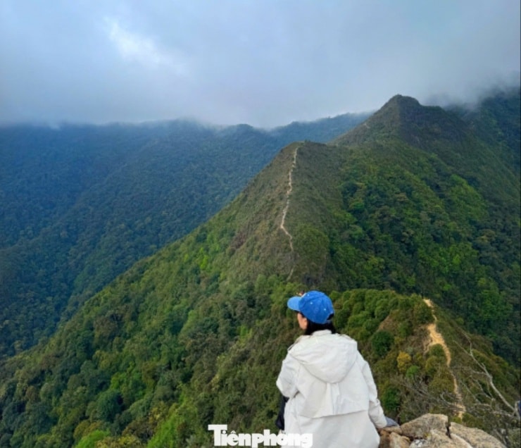 Sống lưng khủng long ở Tà Xùa